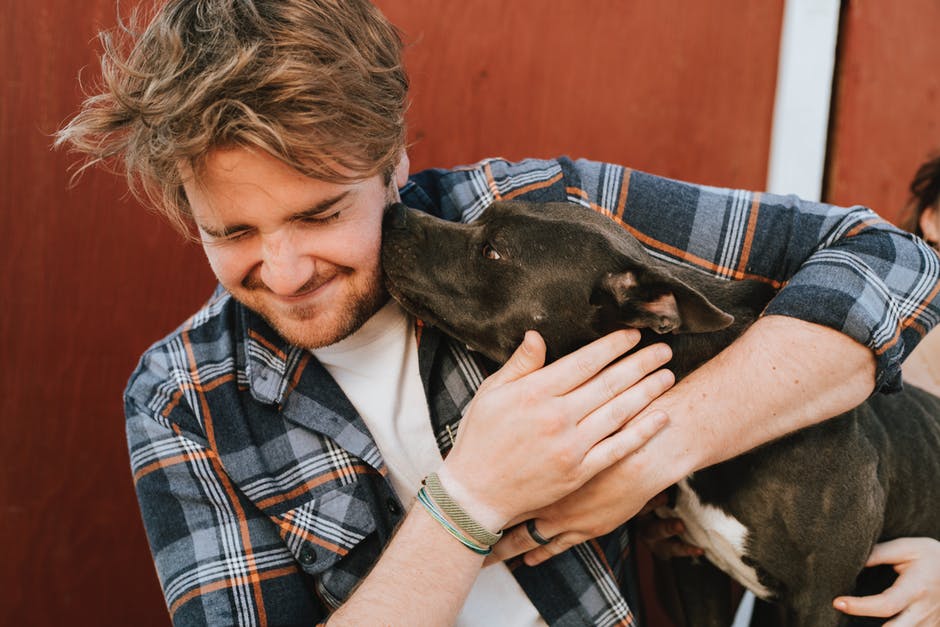 Understanding the Law Around Support Animals in Louisville, Kentucky